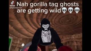 I am going to shoot my self do you want too seegun shotgorilla tag ghost 2024 [upl. by Lohse]