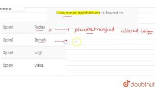 Columnar epithelium is found in [upl. by Sredna309]