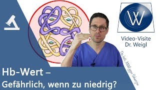 Zu wenig Hämoglobin im Blut 🔴 Was tun beim niedrigen Hb Wert Ursachen  Symptome  Therapie [upl. by Emmerie]