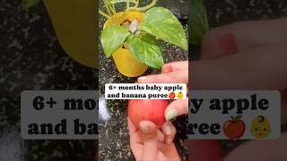 Apple 🍎amp banana 🍌 puree 6 months baby shorts banana food babyfood trending viralvideo foodie [upl. by Bodi]