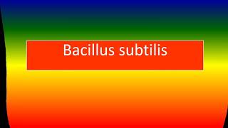 BACILLUS SUBTILIS [upl. by Parrish9]