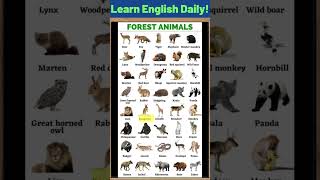 Forest Animals Vocabulary englishwords englishinspiration englishtips vocabulary [upl. by Ocisnarf]