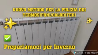 NUOVO METODO PER LA PULIZIA DEI TERMOSIFONI✅️🔝cleaning cleaninghacks puliziedicasa [upl. by Anitnelav762]