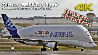 Beluga Airbus Complete Fleet 4K [upl. by Sset]