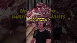 Exploring Plant vs Animal Nutrients The Truth About Phytonutrients  Joe Rogan Experience 1551 [upl. by Gaspard316]