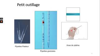 TP 1 microbiologie FSSM SVI [upl. by Biegel790]