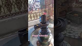 🕉️ B O M B H O L E 🕉️ harharmahadev omnamahshivayasong youtubeshorts [upl. by Drallim32]