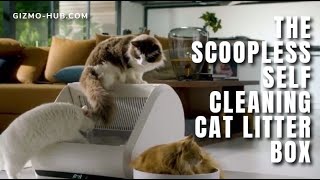 POPUR  THE SCOOPLESS SELFCLEANING CAT LITTER BOX  Kickstarter  GizmoHubcom [upl. by Reiss805]