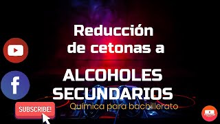 Reducción de cetonas a alcoholes secundarios [upl. by Oletha]