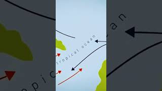 Thermal maximum of the PaleoceneEocene transition universe history earth documentary [upl. by Rabiah]