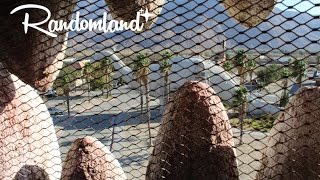 Massive Dinosaurs of Cabazon  Claude Bells Roadside Creation  Randomland [upl. by Rann276]