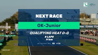 LIVE FIA Karting World Championship 2024  OK Junior  Qualify Heat DG [upl. by Gardas]