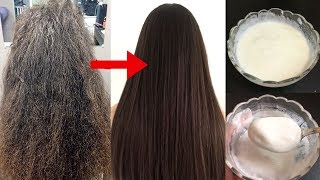 How To Treat Extremely Dry amp Damaged Hair at Home  Best Treatment For Frizzy Hair amp Split Ends [upl. by Anyr]