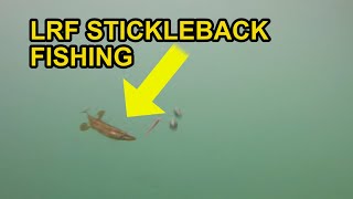 15 Spined Stickleback Attacks Micro Lure LRF [upl. by Weide420]