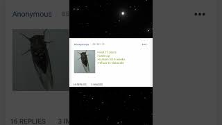 Funny 4Chan Greentext Stories shorts [upl. by Eninotna]