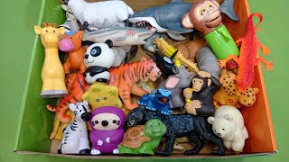 Explore a Box Full of Animal Toys with Names amp Fun Facts for KidsZooSea Animal toys [upl. by Briggs158]