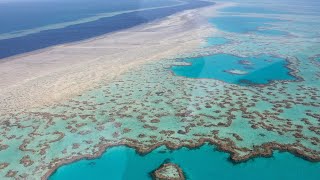 Scenic Helicopter Flight Whitsundays and Great Barrier Reef [upl. by Ylrrad]