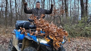 Sloba Radanović posekao Badnjak ranom zorom Srecan Badnji Dan svima koji slave [upl. by Benenson]