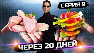 Жизнь поделиться на до и после если сделать это серия 9 сезон 1 [upl. by Nialb336]