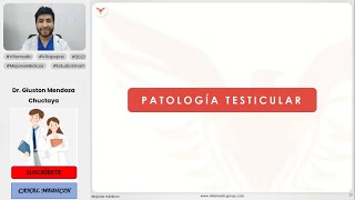 PATOLOGÍA TESTICULAR  UROLOGÍA  VILLAMEDIC [upl. by Bornstein]