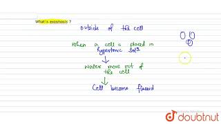 What is exosmosis [upl. by Celinda]