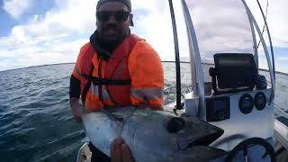 2 Portlands North Shore Schoolie Southern Bluefin Tuna In 10m Shallow Water Fishing Fish On [upl. by Anaeg264]