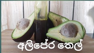 Avocado oil  ලේසියෙන්ම හදාගන්නත් පුළුවන්  avacado 🥑🥑 [upl. by Dleifyar]