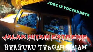 perburuan jalak hitam di Medan EXTREME [upl. by Galven]