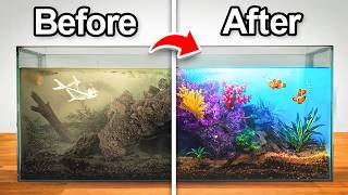 Transforming an Abandoned Aquarium with fish [upl. by Hourihan]