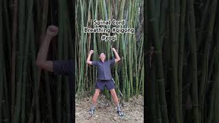 Yoqi Qigong under tall bamboo Spinal Cord Breathing Kanapaha [upl. by Drwde193]