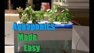 Cheap and Easy 35 Aquaponics  Hydroponics Setup [upl. by Connors]