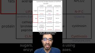 Learn about lysosomal storage diseases with this 3x3 grid [upl. by Northrop905]