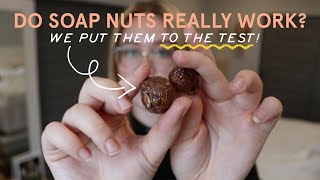 Do Soap Nuts Really Work We Put Them to the Test [upl. by Ax]