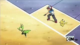 Pokemon Battle  Leavanny vs Scolipede [upl. by Nemlaz590]