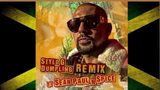 Stylo G Feat Sean Paul Spice  Dumpling Official Audio [upl. by Manville]