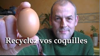 Recyclez vos coquilles d’œufs bon pour le jardin et la santé [upl. by Fair]