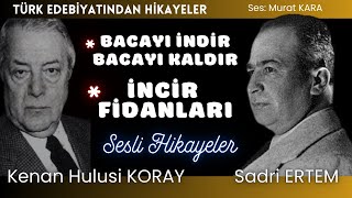 İki Ustadan İki hikaye  Türk Edebiyatından Sesli Kitaplar [upl. by Vidovik]