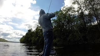 Gull Lake Milfoil Wood Matt Punching for Largemouth Bass  HD [upl. by Rick635]