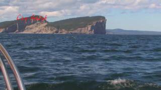 Sailing Gaspe Bay [upl. by Trinia]