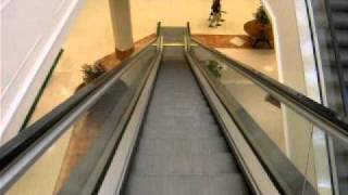 Schindler Escalators at Von Maur  Oxmoor Center [upl. by Aleac147]