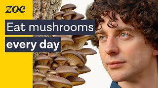 Mushrooms as medicine Uncovering the health secrets of fungi  Merlin Sheldrake amp Prof Tim Spector [upl. by Nibbs]