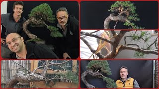 Ho voluto insegnare il bonsai ad un mio allievo in un modo particolare [upl. by Nica]