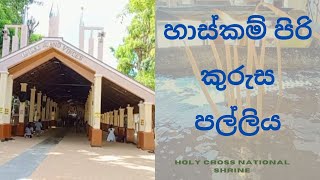 Holy Cross National Shrine Marawila ✝️ කුරුස පල්ලිය  jesus [upl. by Ahras]