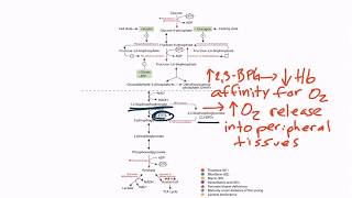 USMLE Step 1 Glycolysis [upl. by Zippel]