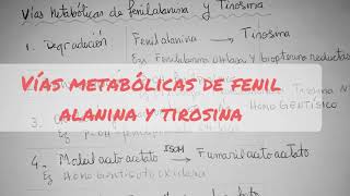 Fenilalanina Tirosina y Catecolaminas Metabolismo [upl. by Inahs]