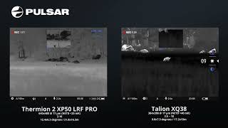 Pulsar Talion XQ38 vs Pulsar Thermion 2 XP50 Pro LRF [upl. by Lesirg]