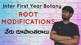 Root Modifications  వేరు రూపాంతరాలు  Root System  Jr Botany  Morphology of Flowering Plants [upl. by Gavette]