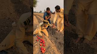 The Apples 🍎😂 trending comedy funny funnyvideos [upl. by Nrehtak]