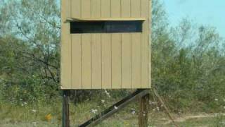 Grande Hunts 8 South Texas Deer Lease Work Feeding amp Scouting October 2010 [upl. by Paulina]