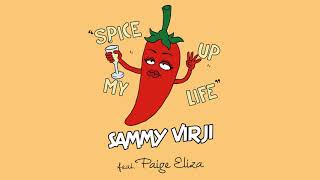 Sammy Virji  Spice Up My Life feat Paige Eliza Official Audio [upl. by Wareing]